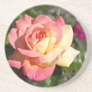 Pretty pink and yellow rose flower. Floral Sandstein Untersetzer
