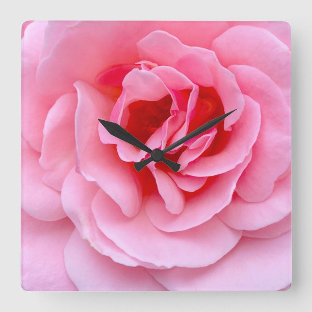 Pretty pink rose quadratische wanduhr (Vorderseite)