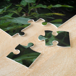 Pretty Pink und White Rose Flower Bushes. Floral, Puzzle