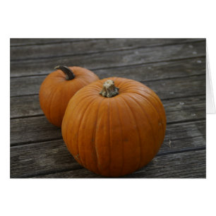 Pretty Plump Pumpkins Greeting Card