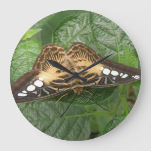 Pretty Tropical Clipper Butterfly Wall Clock Große Wanduhr