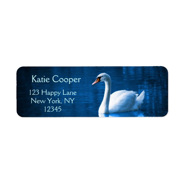Pretty white swan floating on blue lake (Vorne)