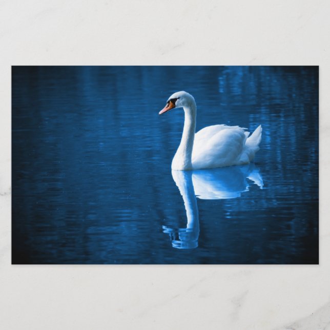 Pretty white swan floating on blue lake briefpapier (Vorderseite)