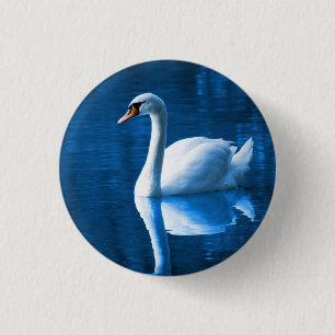 Pretty white swan floating on blue lake button