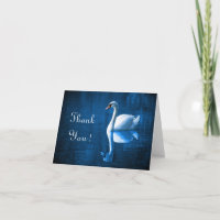Pretty white swan floating on blue lake