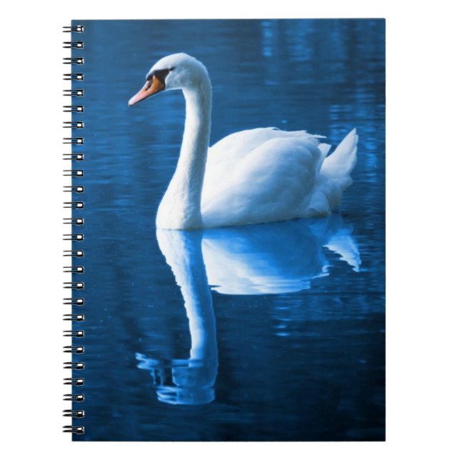 Pretty white swan floating on blue lake notizblock (Vorderseite)