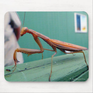 Preying Mantis Mousepad