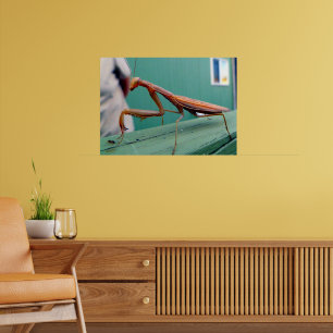 Preying Mantis Poster
