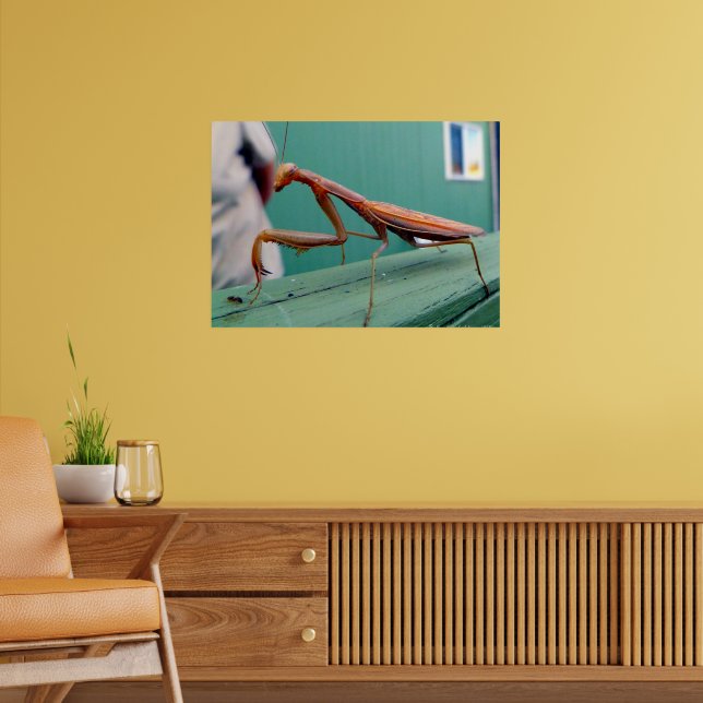 Preying Mantis Poster (Wohnzimmer 2)