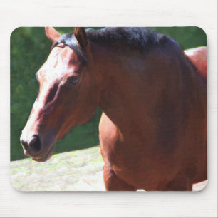 Priceless Mischief (Portia) Mousepad