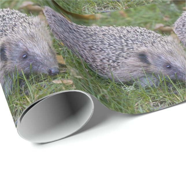 Prickles - Europäisches Igel-Umschlagpapier Geschenkpapier (Rolleneckpunkt)