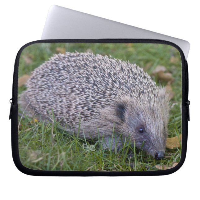 Prickles Laptop Sleeve (Vorderseite)