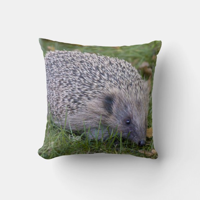 Prickles Pillow Kissen (Vorderseite)