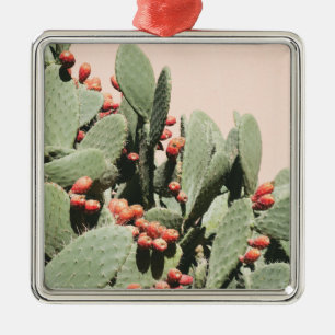 Prickley Birnen-Kaktus Ornament Aus Metall
