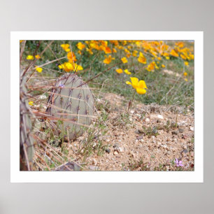 Prickley Birnen-Kaktus u. Mohnblume Poster