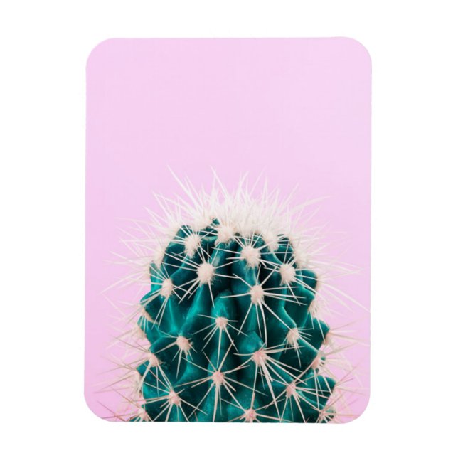 Prickley Cactus pink Magnet (Vertikal)