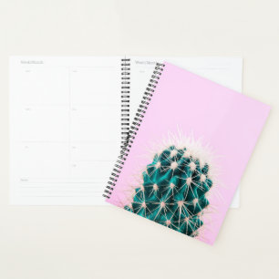 Prickley Cactus pink Planer