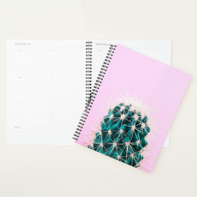 Prickley Cactus pink Planer (Anzeige)