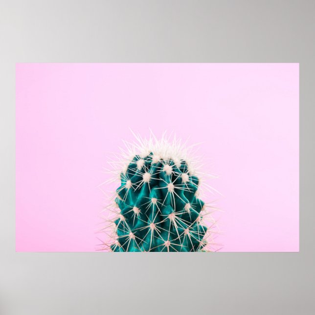Prickley Cactus pink Poster (Vorne)