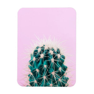 Prickley Kaktus auf Rosa Magnet
