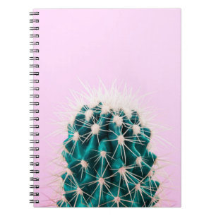 Prickley Kaktus auf Rosa Notizblock