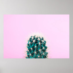 Prickley Kaktus auf Rosa Poster