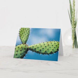 Prickley Kaktus Karte