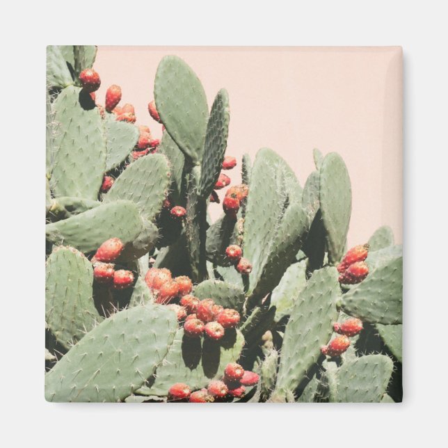 Prickley Pear Cactus Magnet (Vorne)