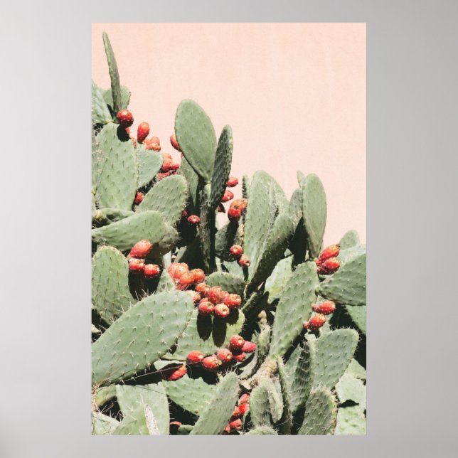 Prickley Pear Cactus Poster (Vorne)