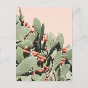 Prickley Pear Cactus Postkarte