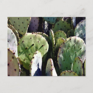 Prickly Birne Nr. 3 Postkarte