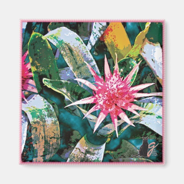 Prickly Bromie Magnet (Vorne)