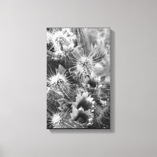 Prickly Cactus Blume Desert B&W Foto Art Prints Leinwanddruck