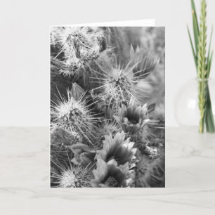 Prickly Cactus Desert Blume Foto Grußkarte Karte