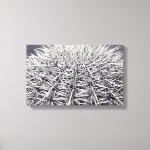 Prickly Cactus Sonoran Desert B&W Foto Art Print Leinwanddruck