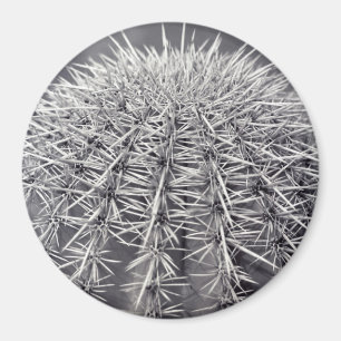 Prickly Cactus Sonoran Desert Kühlschrank Magnet