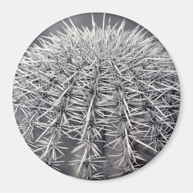 Prickly Cactus Sonoran Desert Kühlschrank Magnet (Vorne)