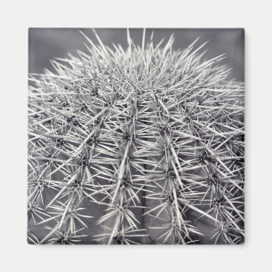 Prickly Cactus Sonoran Desert Kühlschrank Magnete