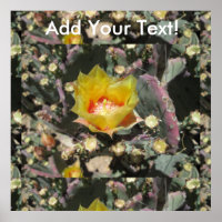Prickly Pear Black gesponnen