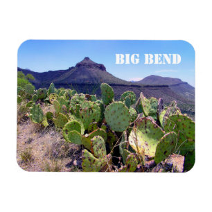Prickly Pear Cactus Big Bend National Park Magnet