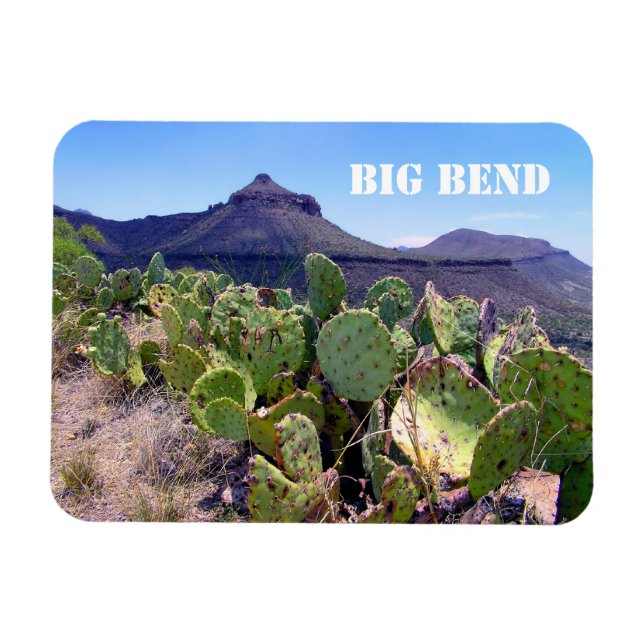 Prickly Pear Cactus Big Bend National Park Magnet (Horizontal)