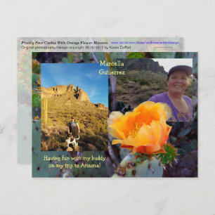 Prickly Pear Cactus Blume / Orange / Arizona USA Postkarte