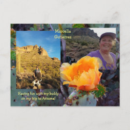 Prickly Pear Cactus Blume / Orange / Arizona USA Postkarte