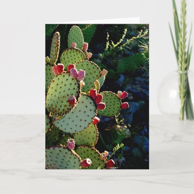 Prickly Pear Cactus Karte (Vorderseite)