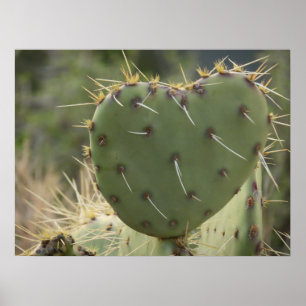 Prickly Pear Heart Poster