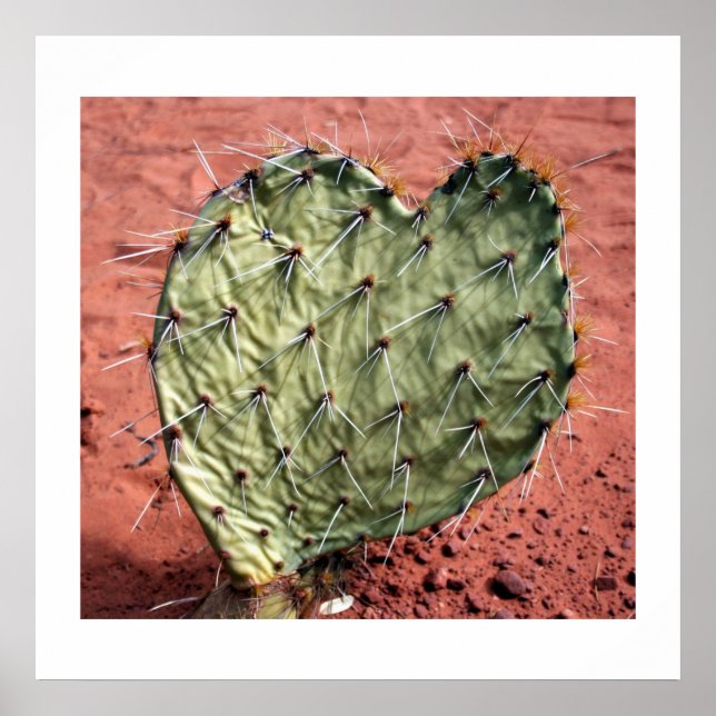 Prickly Pear Heart Poster (Vorne)