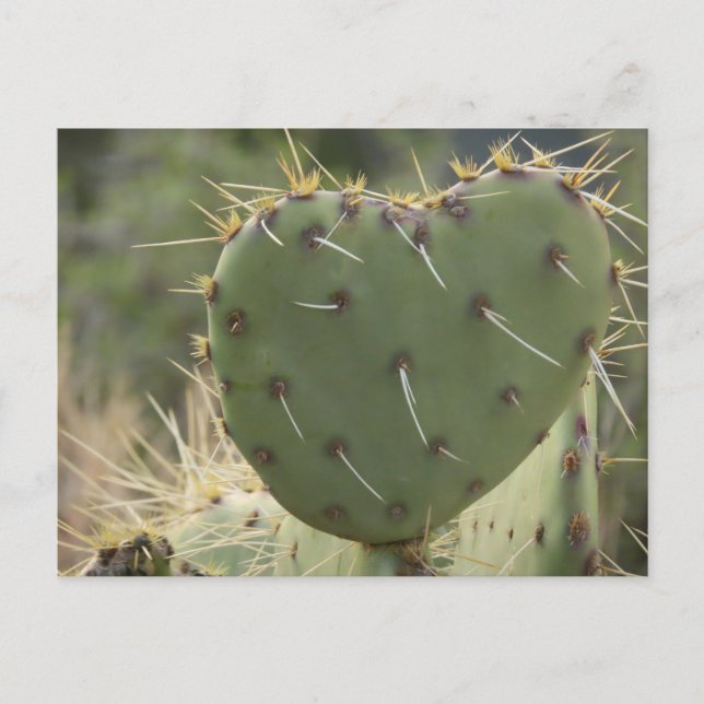 Prickly Pear Heart Postkarte (Vorderseite)