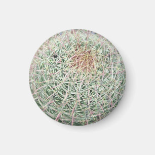 Prickly Pink Swirl Kaktus Kühlschrank Gift Magnet
