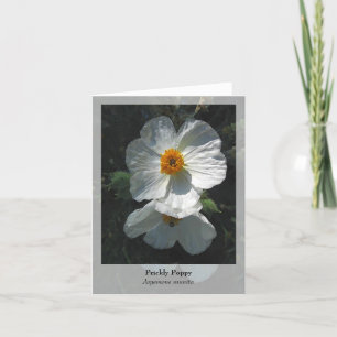 Prickly Poppy - Native Notecard Karte