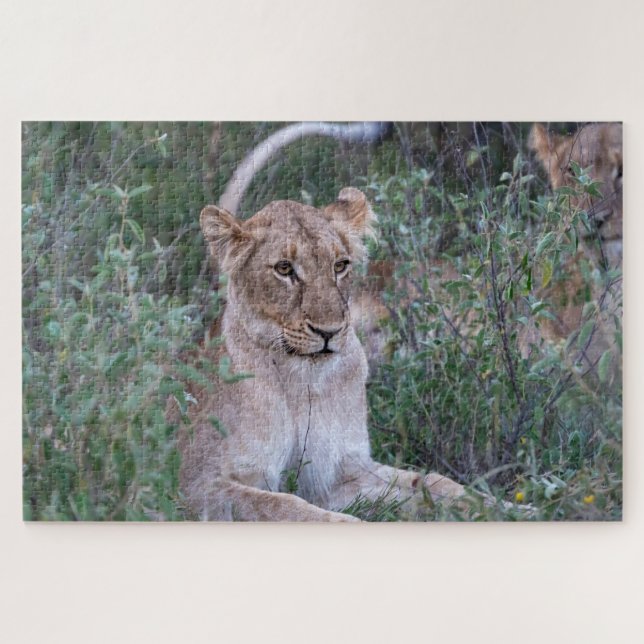 Pride Guardian – Ruhende Löwin Puzzle (Horizontal)